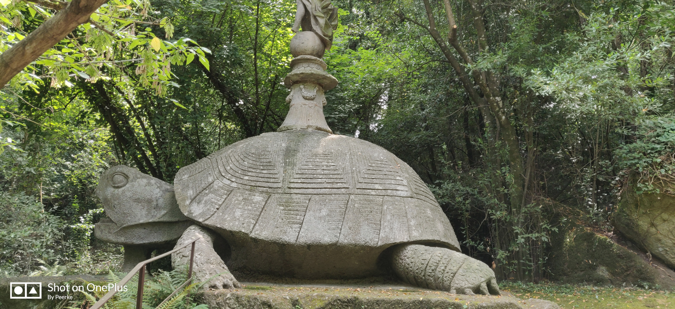 schildpad
