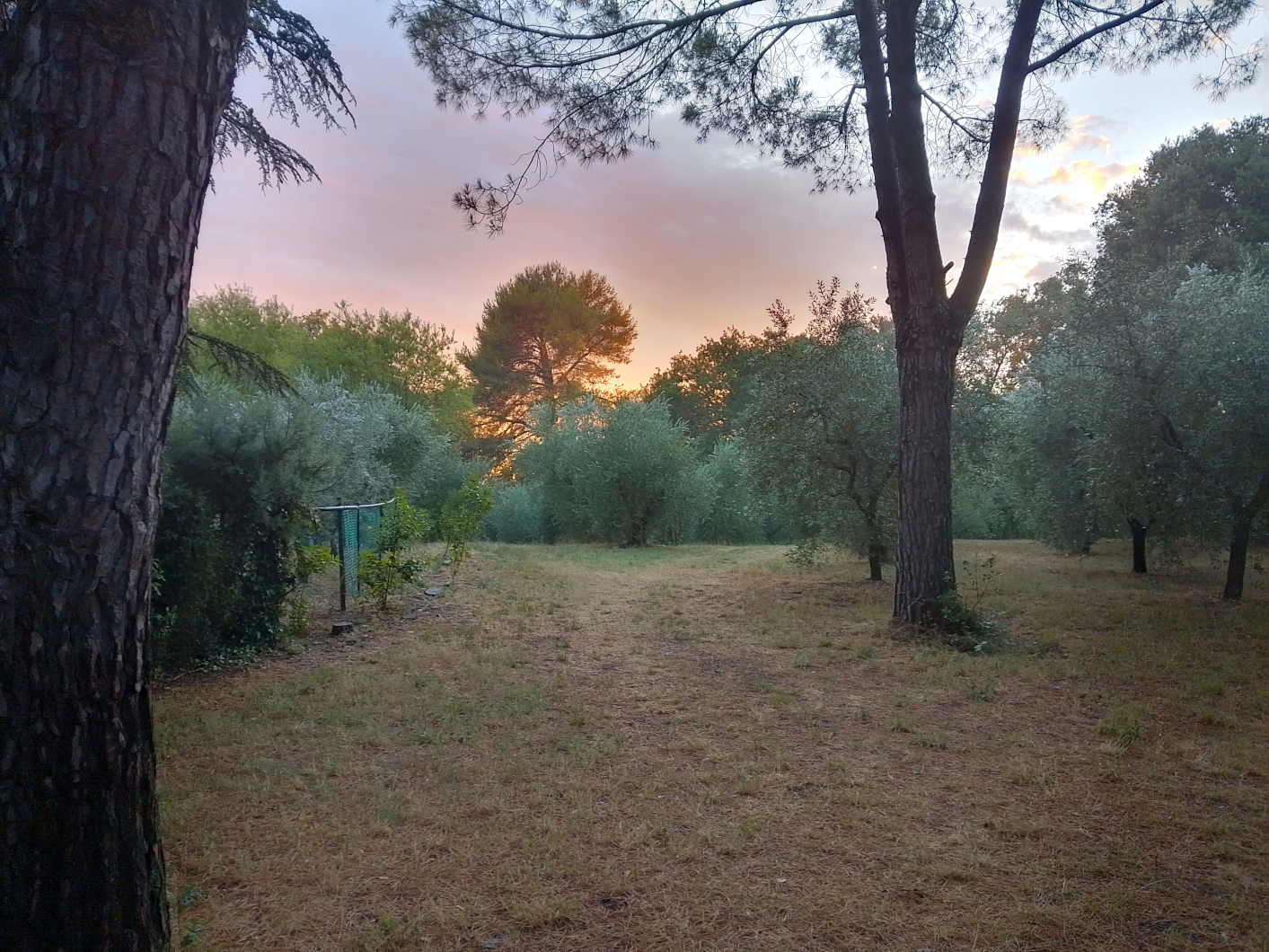 Mien en Peer in Narni